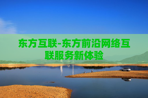 东方互联-东方前沿网络互联服务新体验