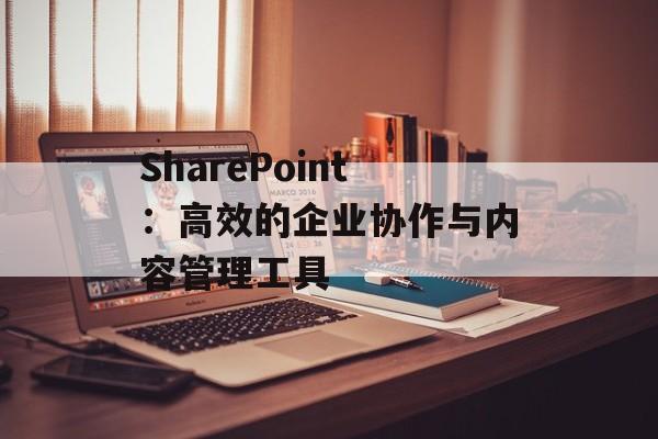SharePoint：高效的企业协作与内容管理工具