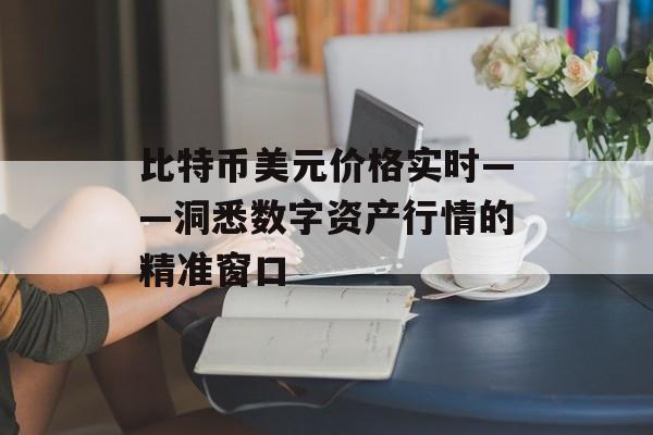 比特币美元价格实时——洞悉数字资产行情的精准窗口